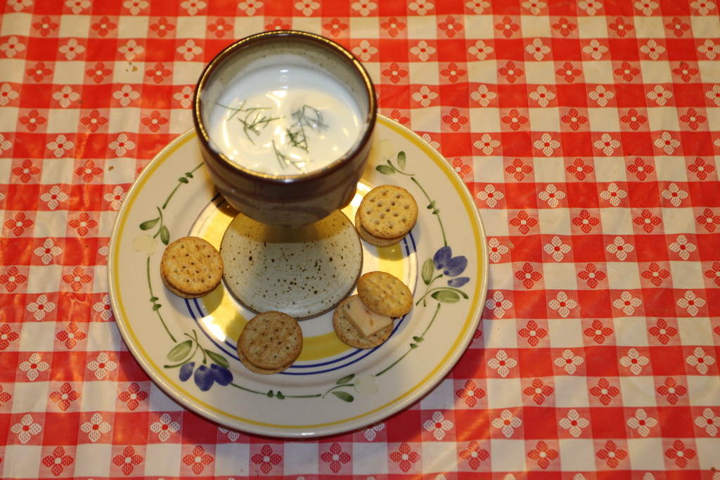 Food - Dill, Cucumber and Yogurt with Crackers and Jalapeno Havarti!