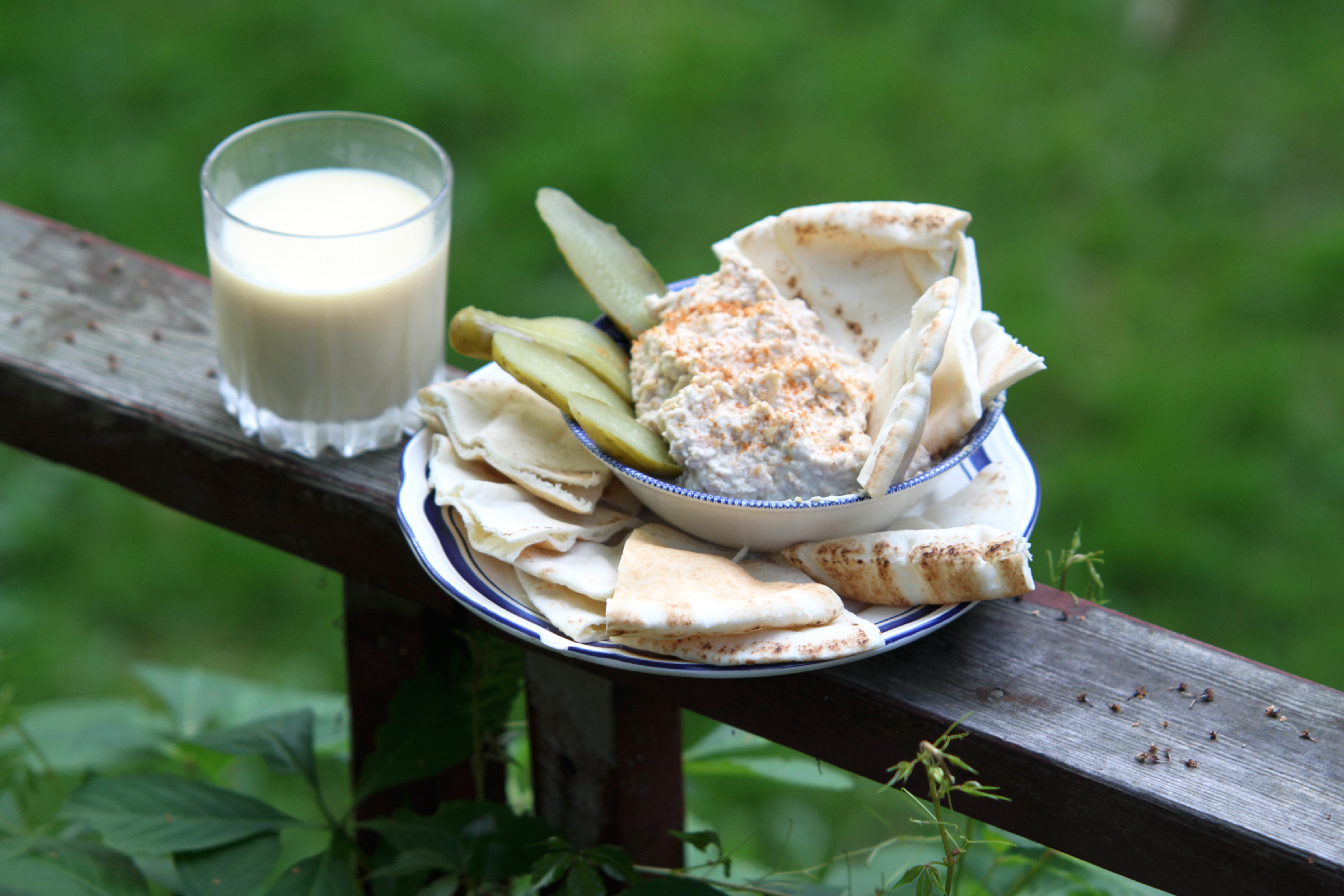 Food - Hummus with Dill Pickle and Pita!